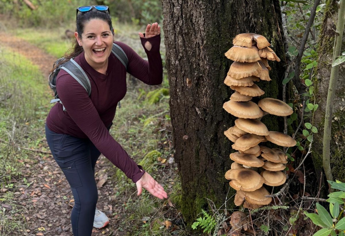 Where Blossoms Grow, So Do I